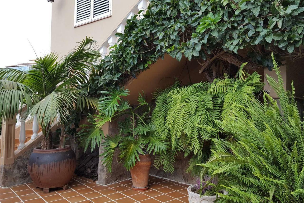 Orotava Garden House Perfect For Families Villa Ла Оротава Екстериор снимка