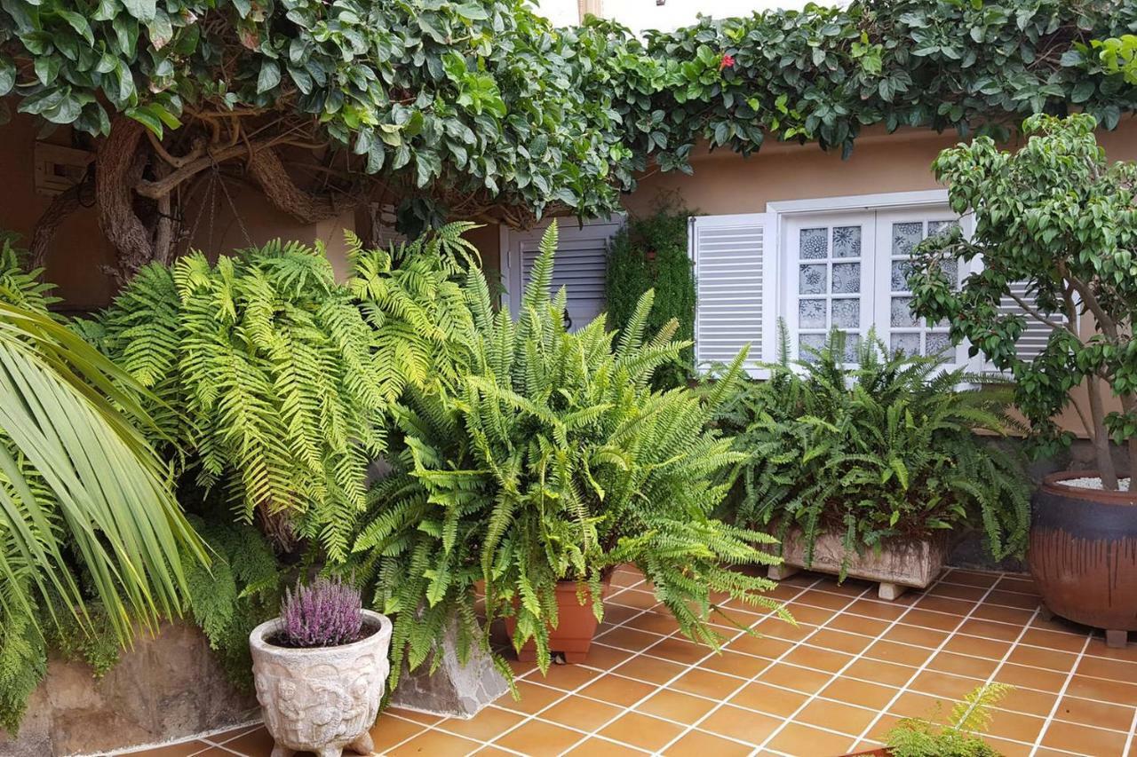 Orotava Garden House Perfect For Families Villa Ла Оротава Екстериор снимка